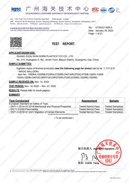 test report 1