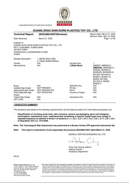 test report 2