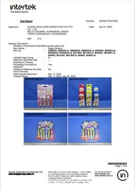 test report 4